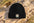 Montauk Edition Cashmere / Merino Wool Beanie
