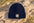 Montauk Edition Cashmere / Merino Wool Beanie