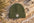 Montauk Edition Cashmere / Merino Wool Beanie